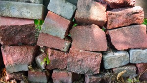 Brick wall. Photo: Toban Dyck.